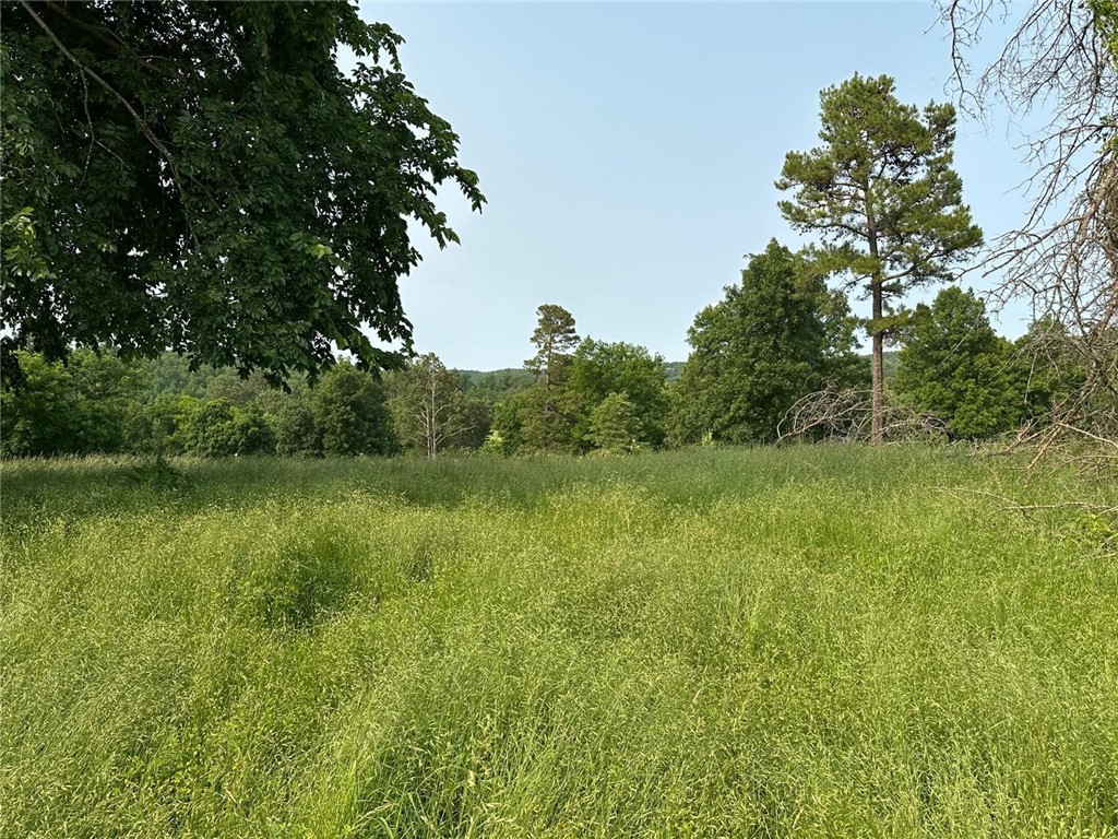 Image 13