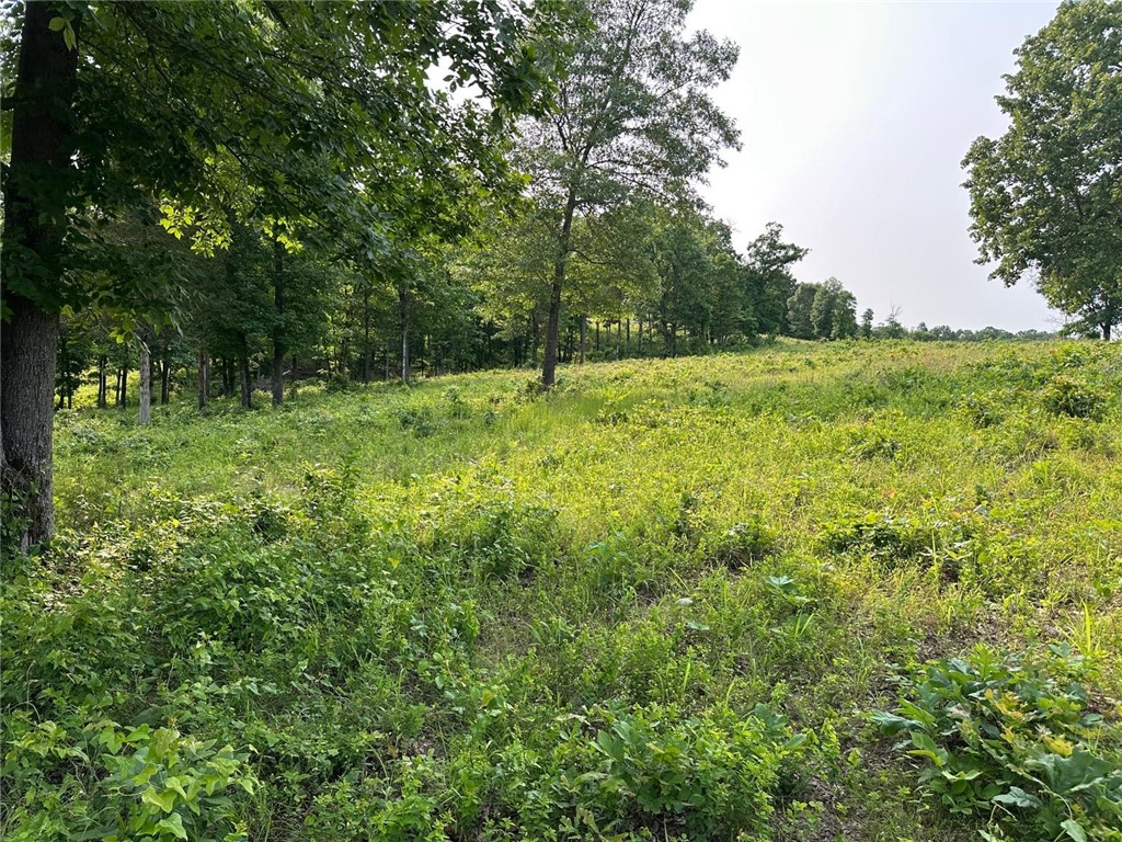 Image 15