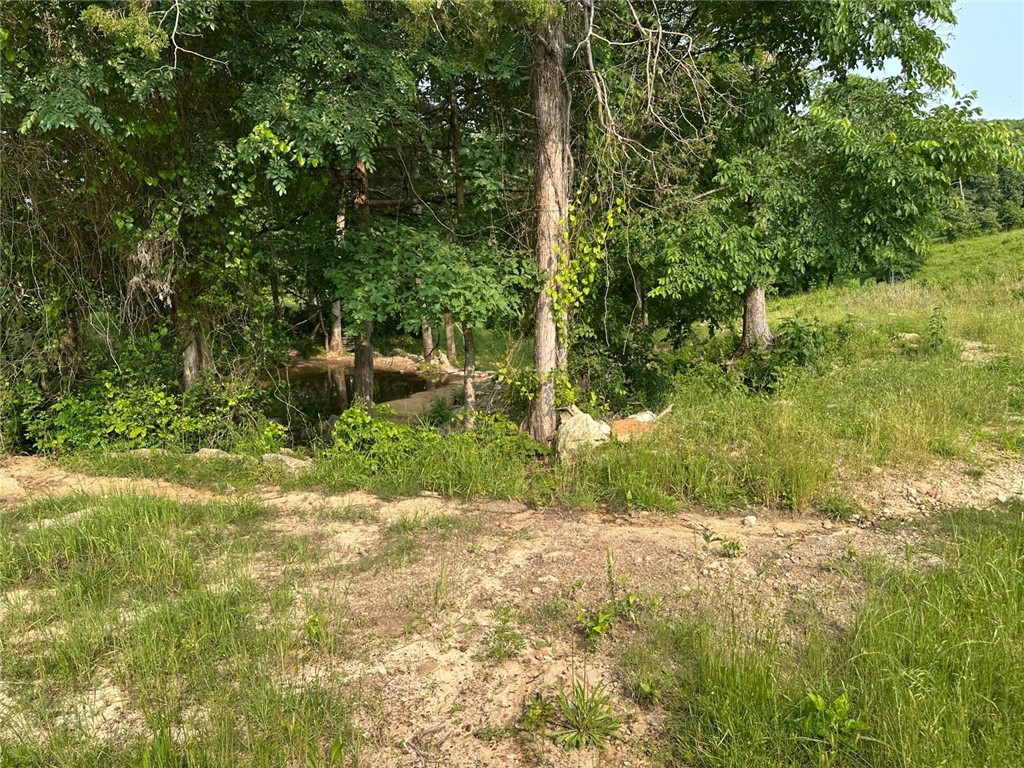 Image 16