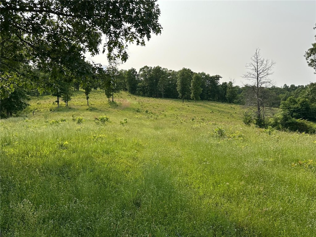 Image 19