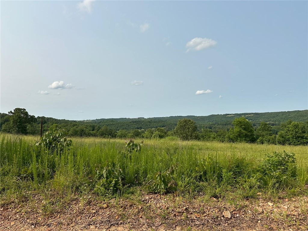 Image 22