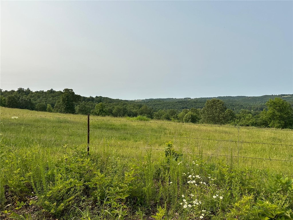 Image 25