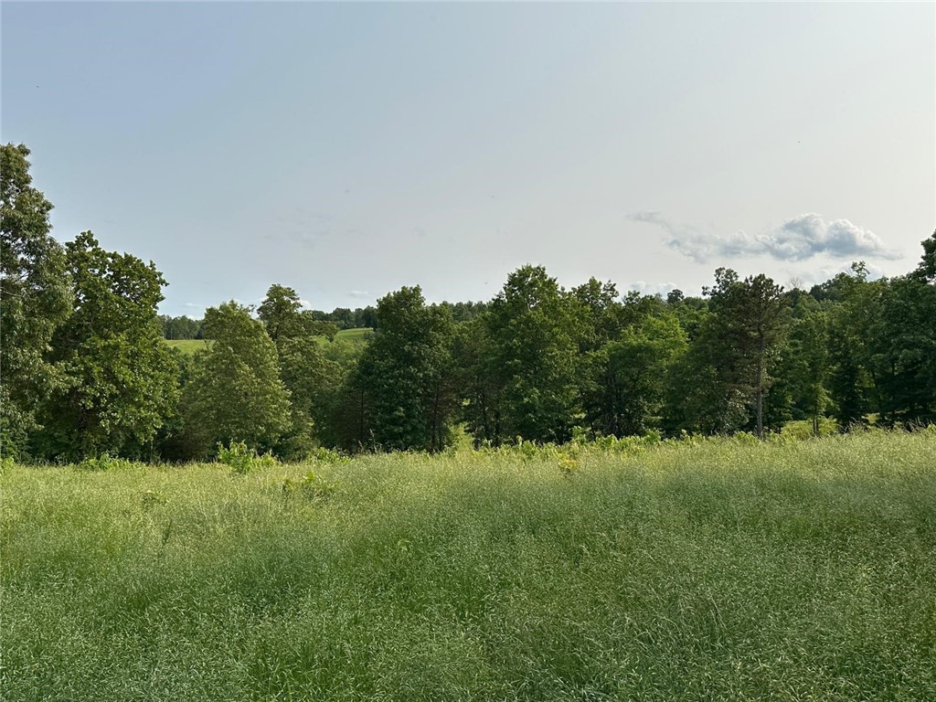 Image 27