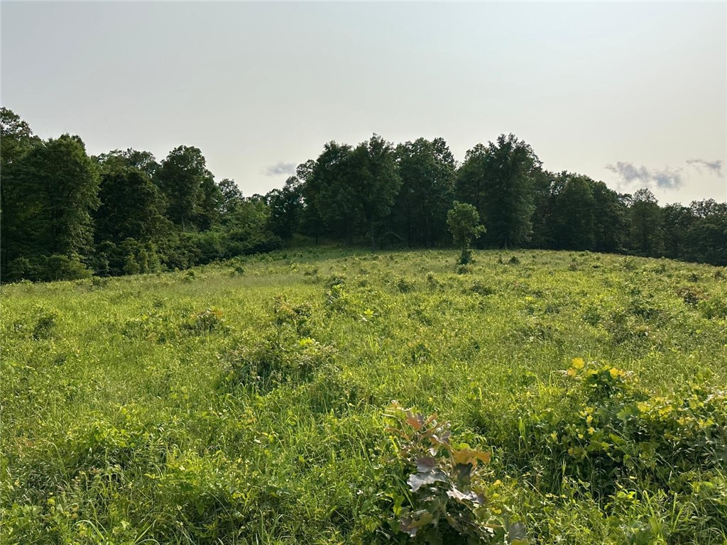 Image 32