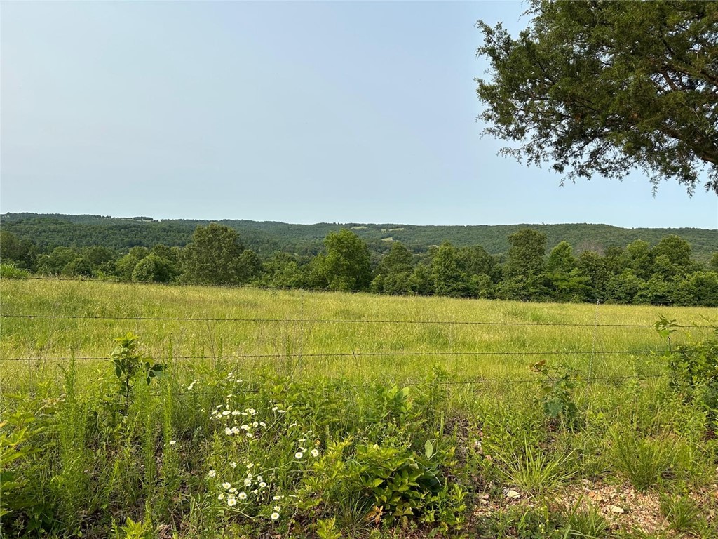 Image 33