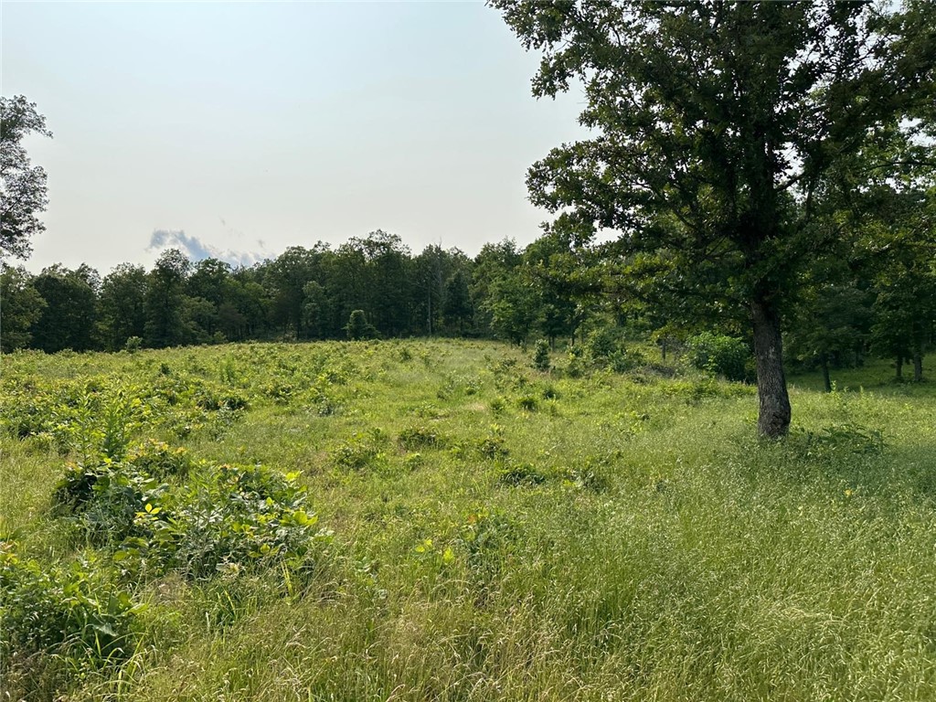 Image 35