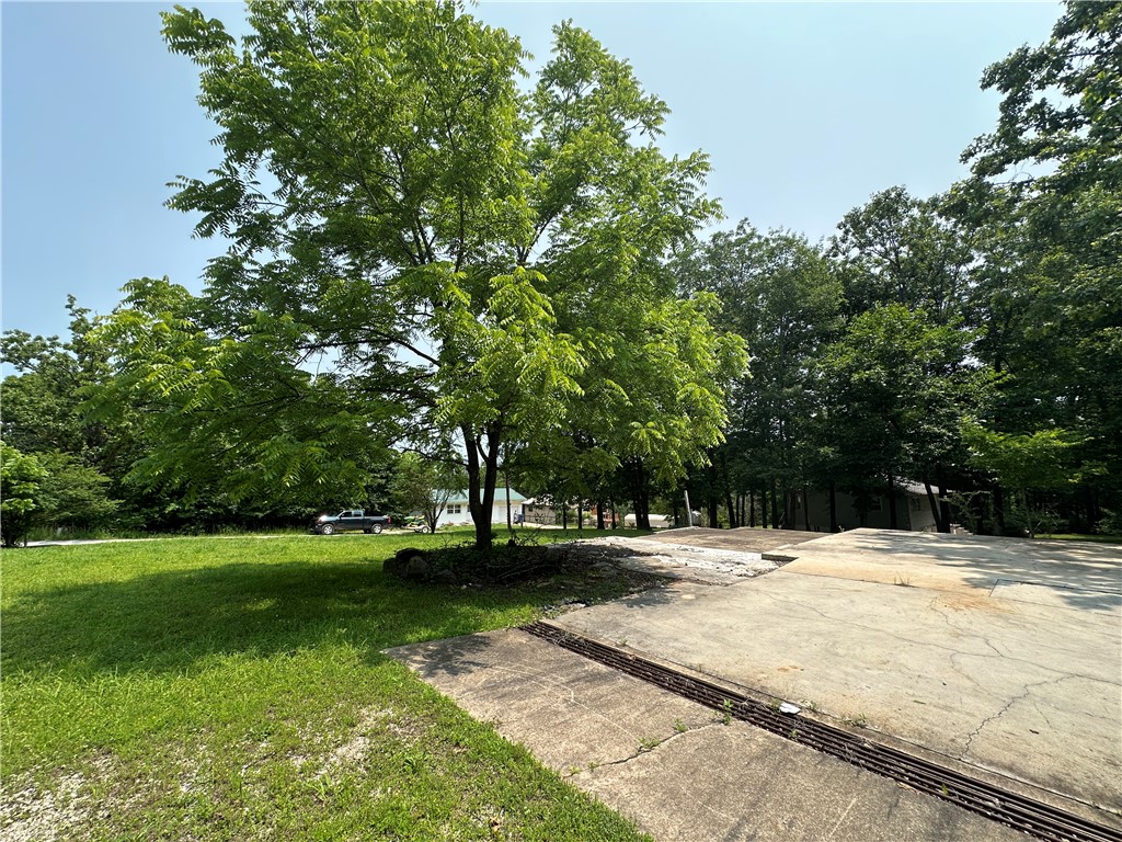 Image 13