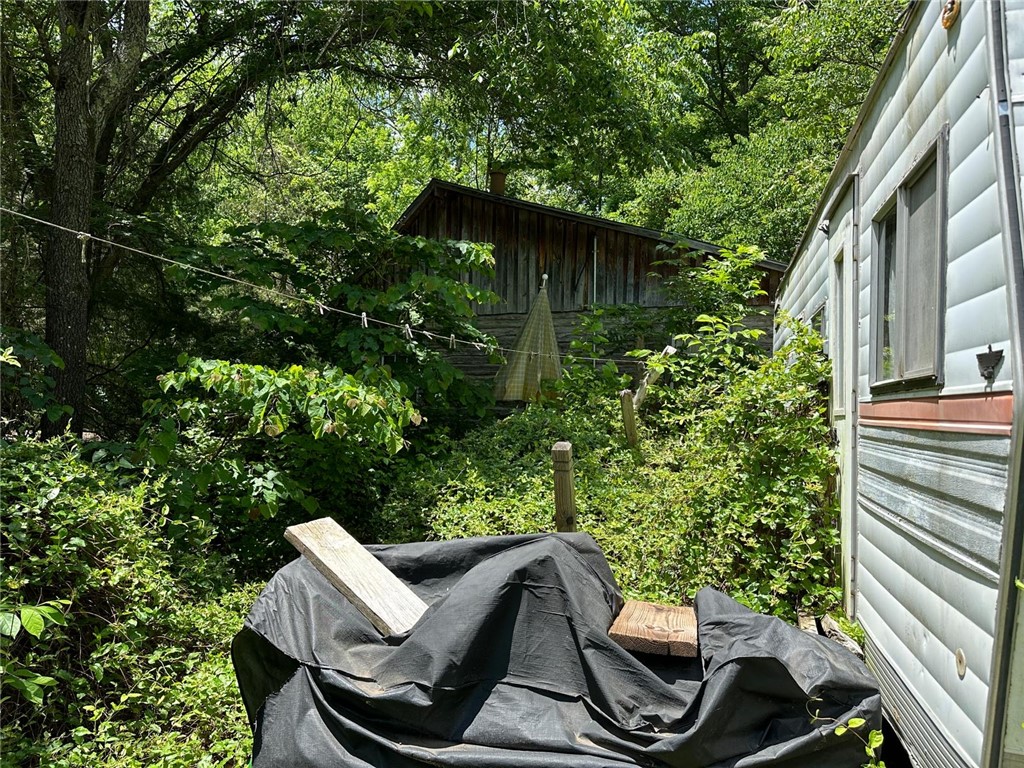 Image 12