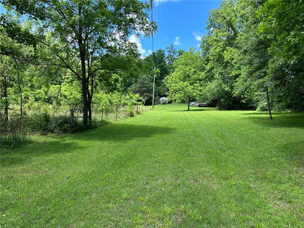 Image 13