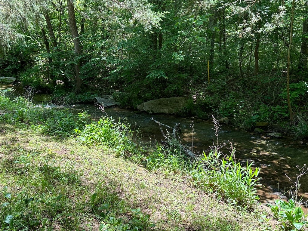 Image 16