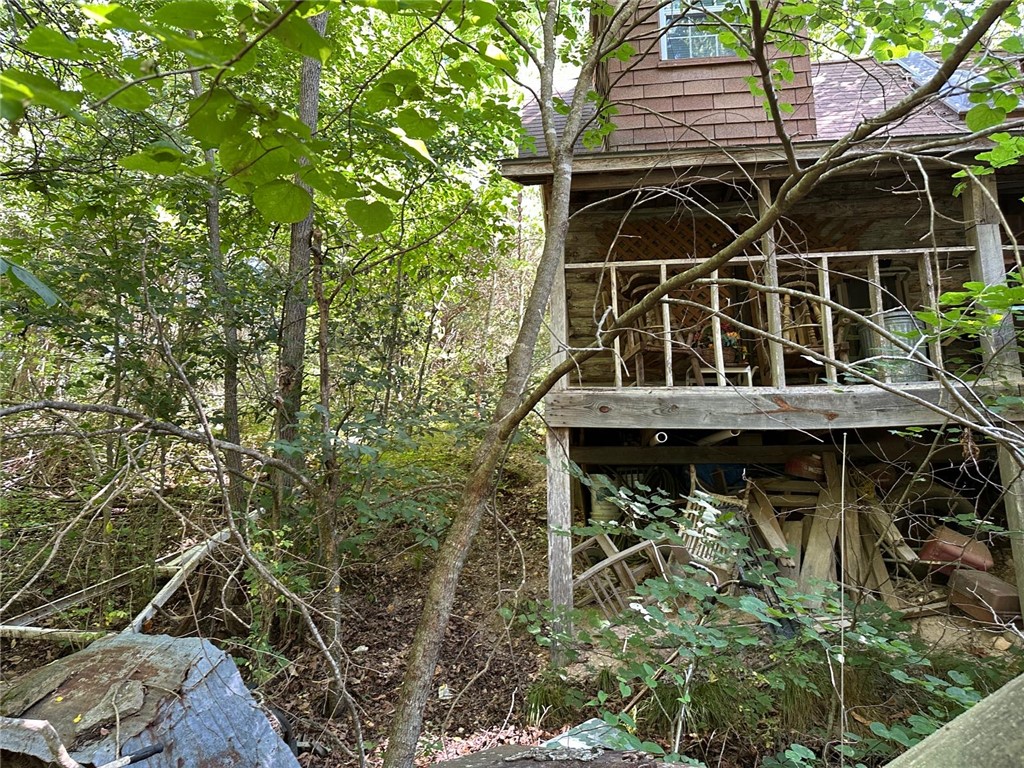 Image 19