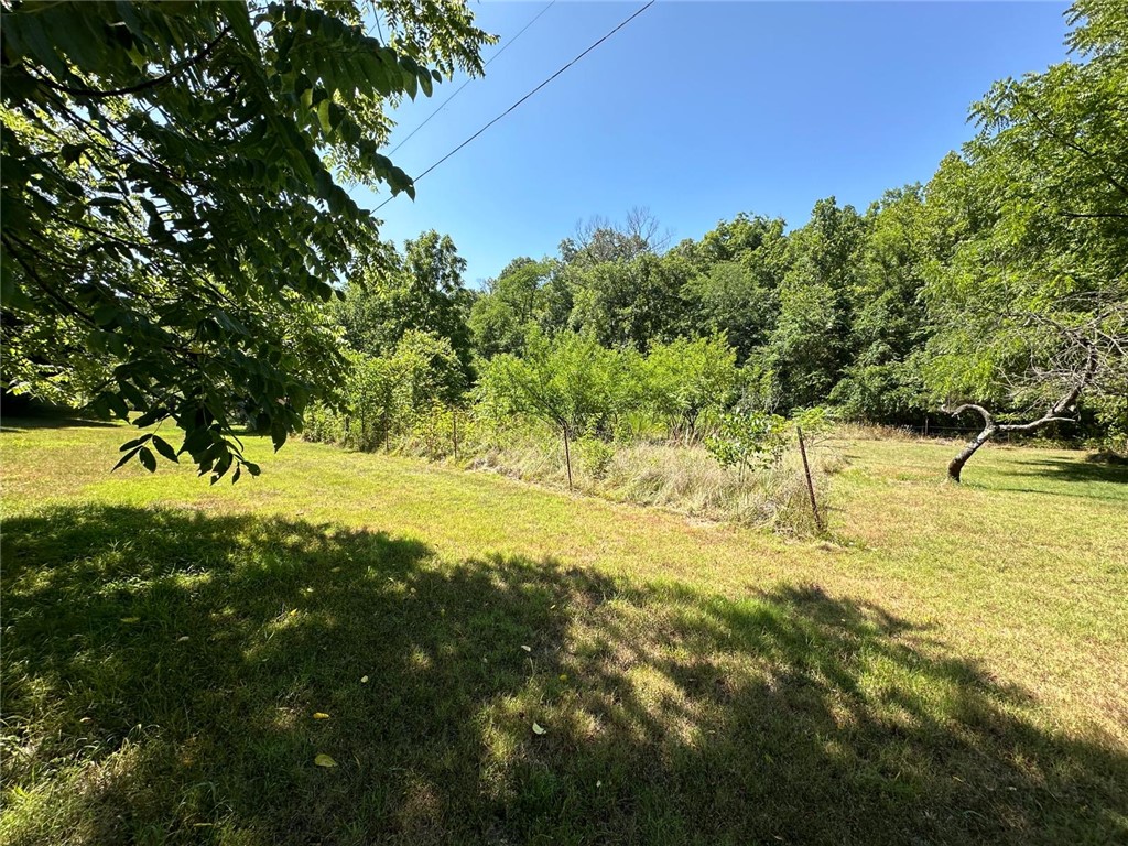 Image 21