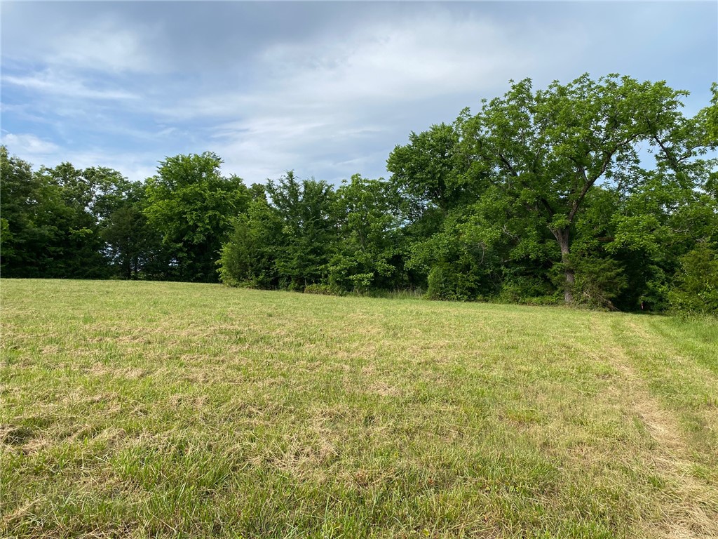 Image 9