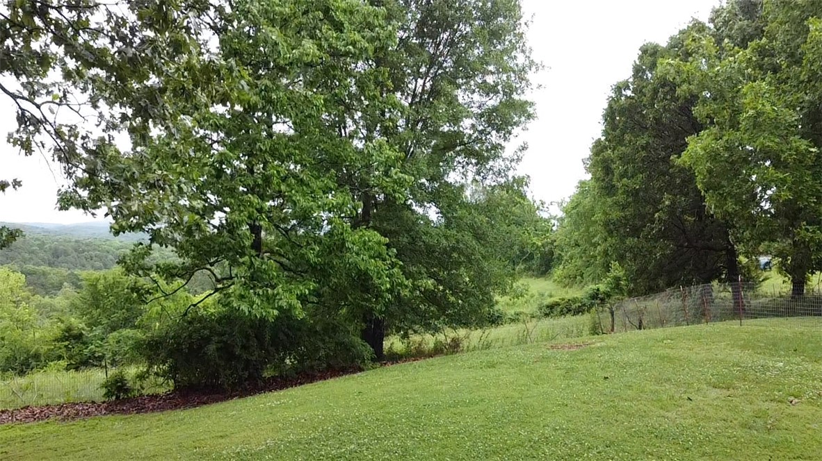 Image 33
