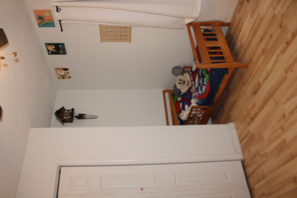 Image 15