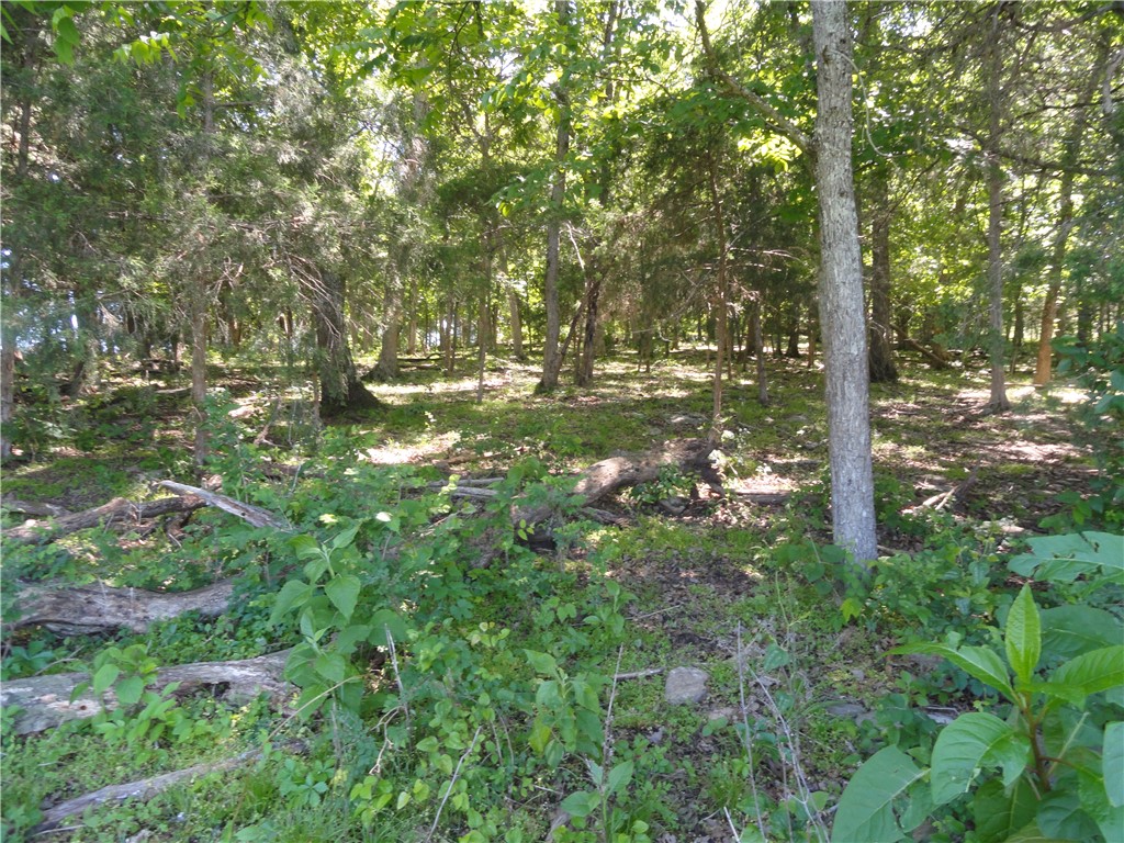 Image 10