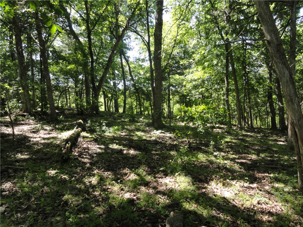 Image 13