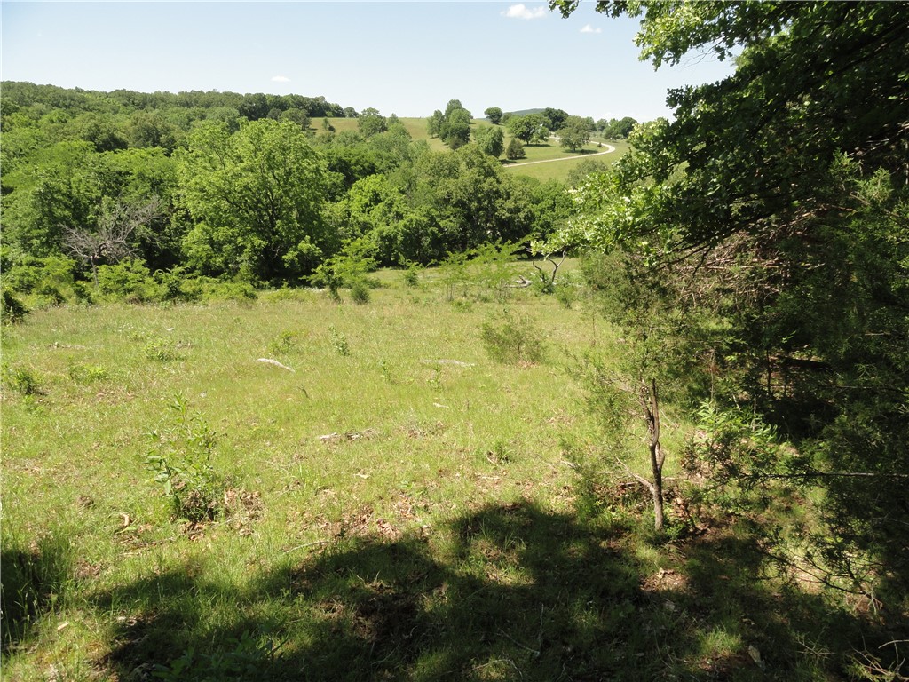 Image 14