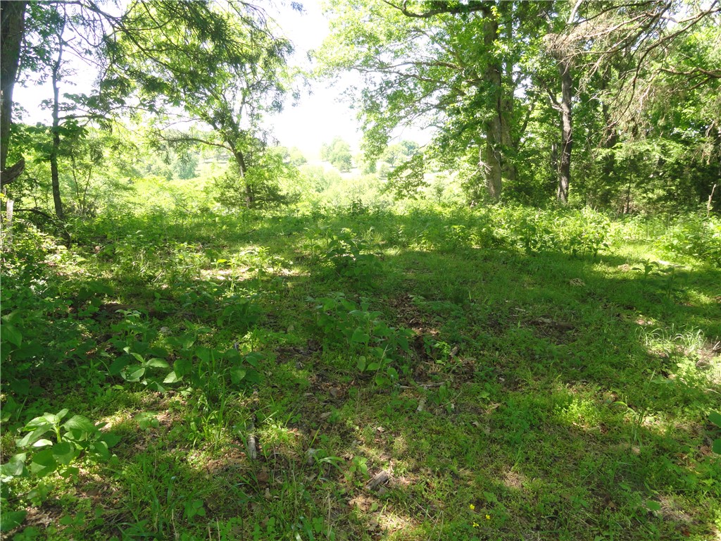 Image 15