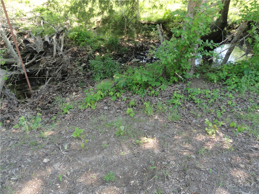 Image 17