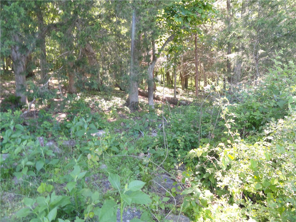 Image 9
