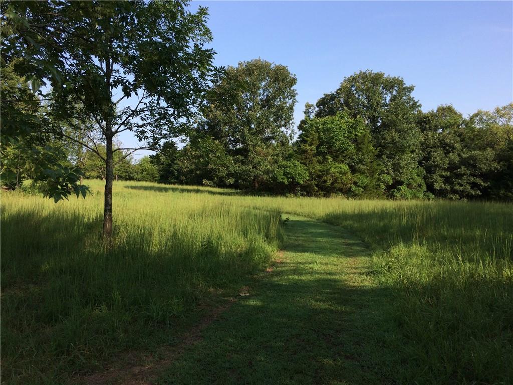 Image 15