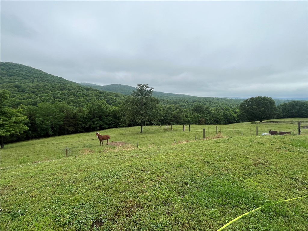 Image 14