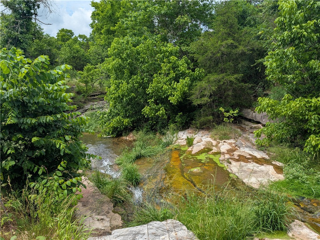 Image 41