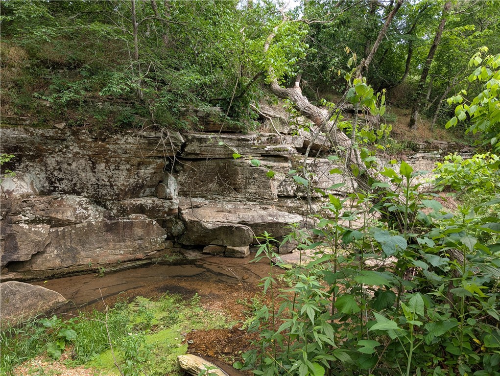 Image 43
