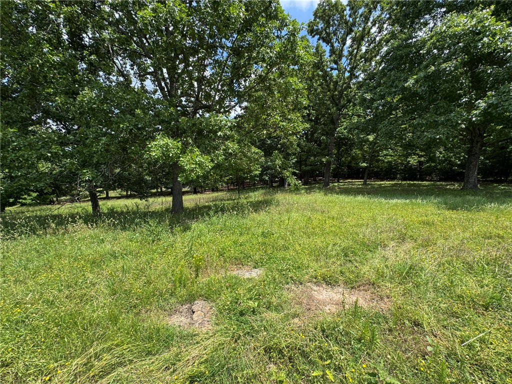 Image 31