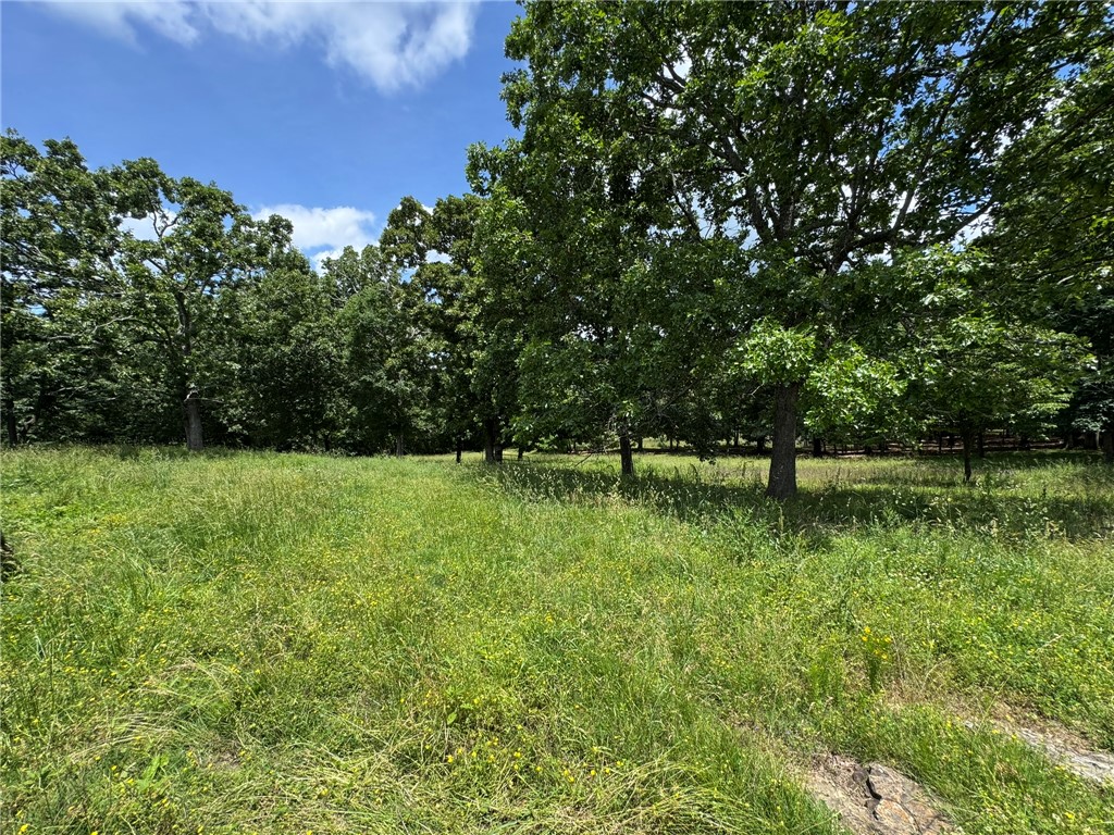 Image 32