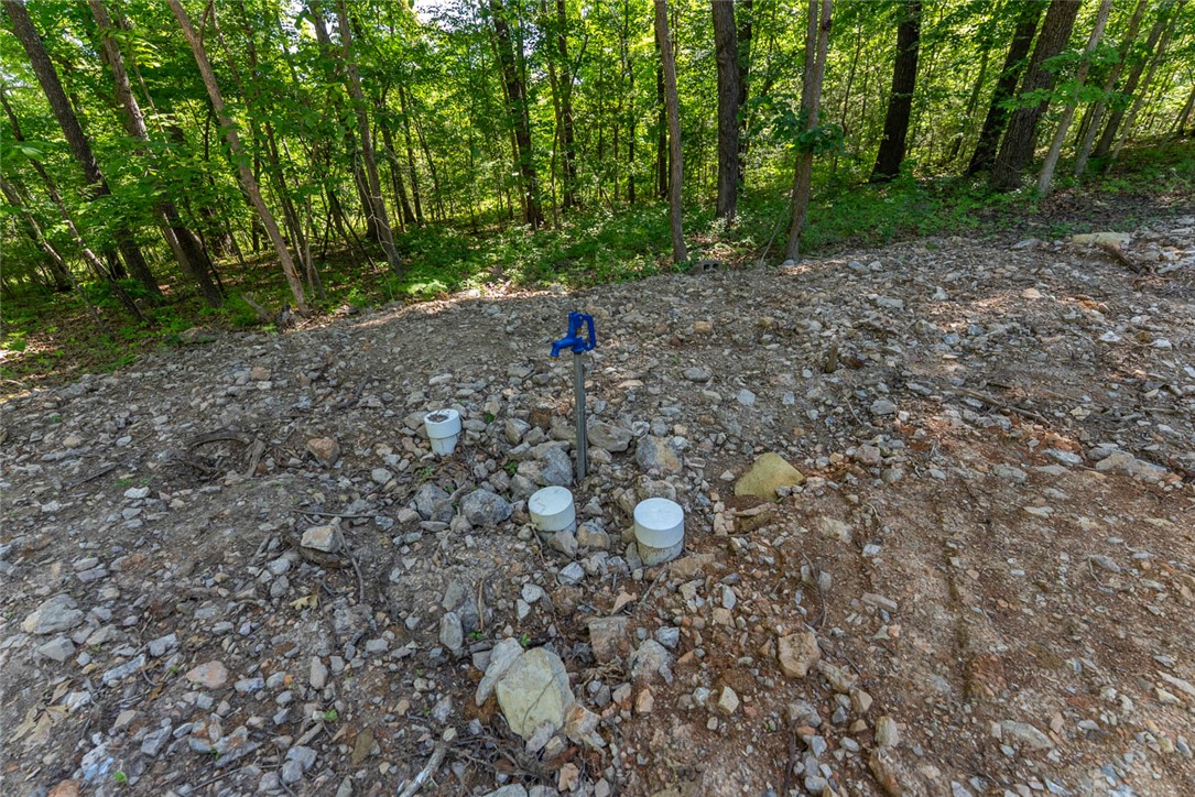 Image 12