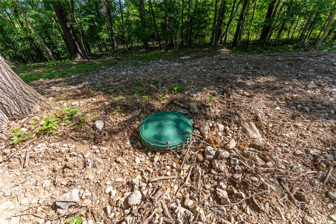 Image 13