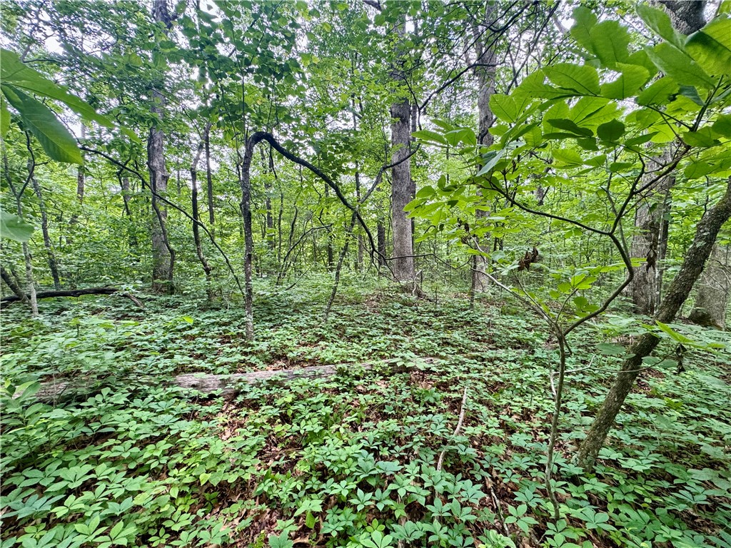 Image 9