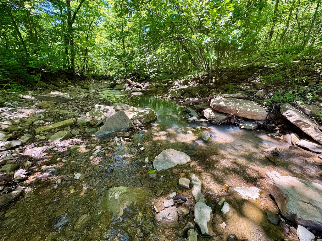 Image 31