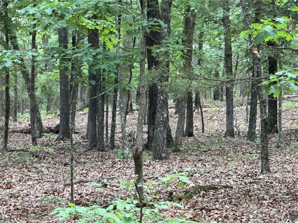 Image 13