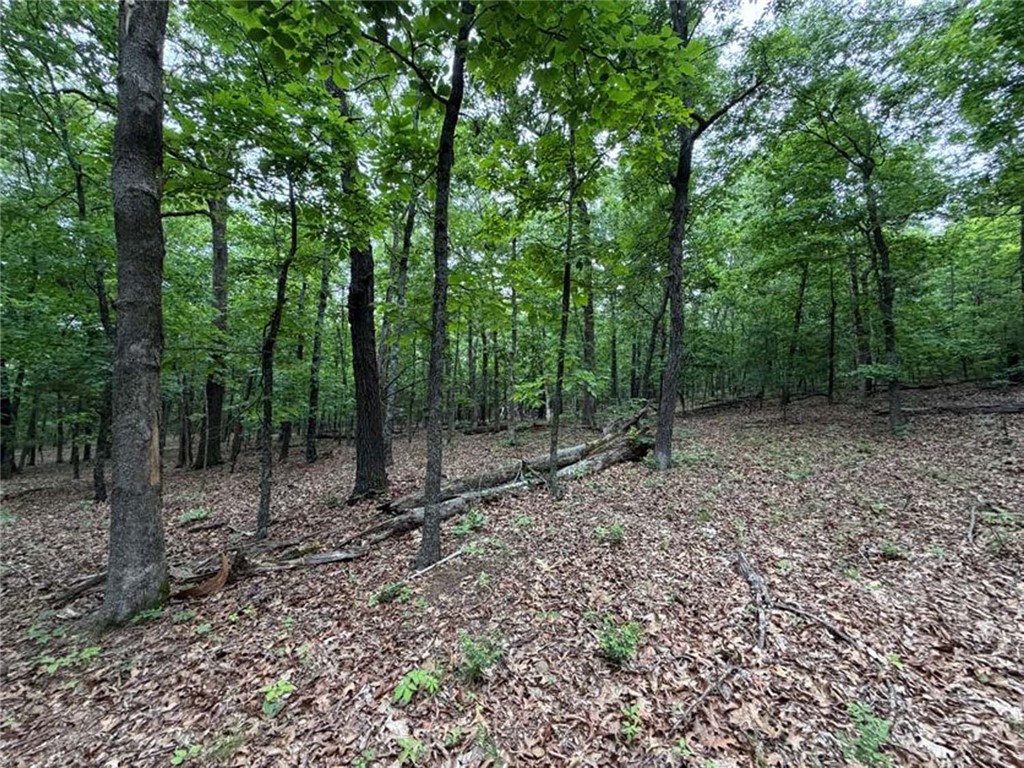 Image 14