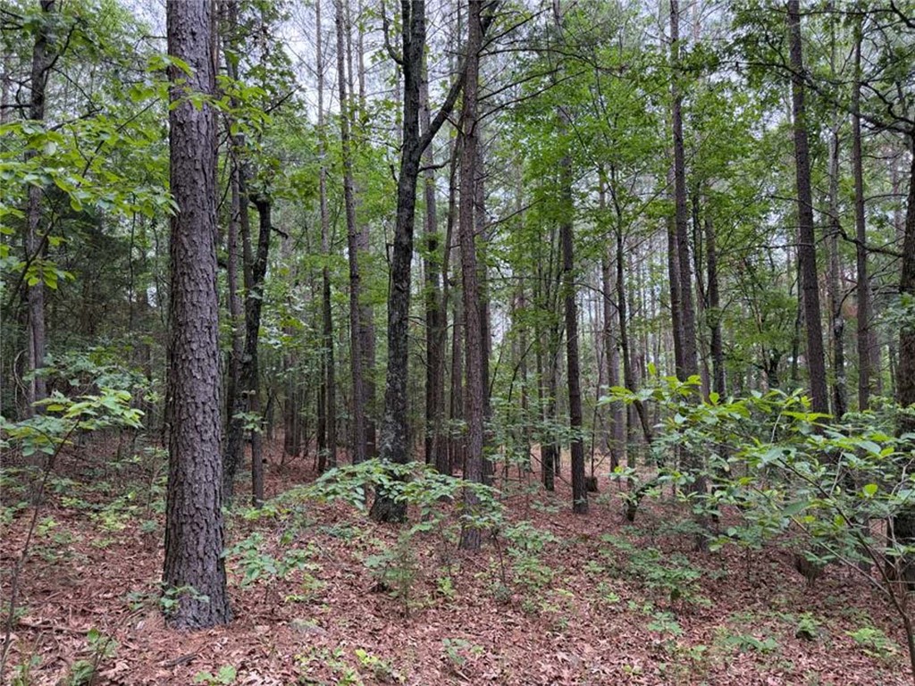 Image 15