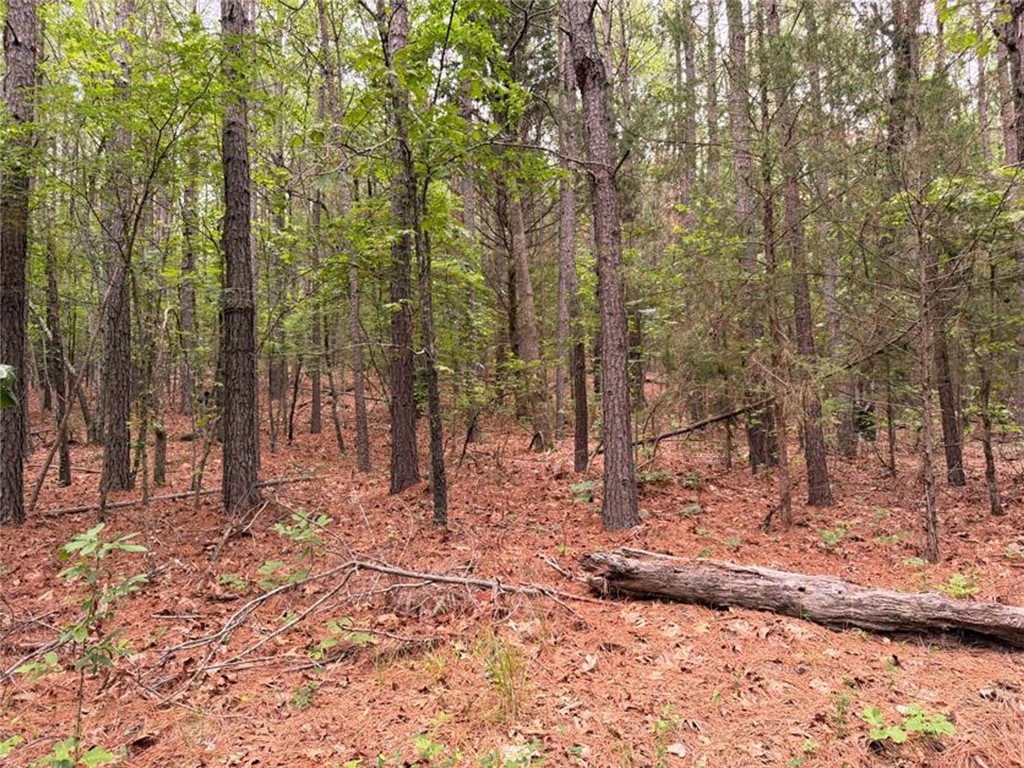 Image 18