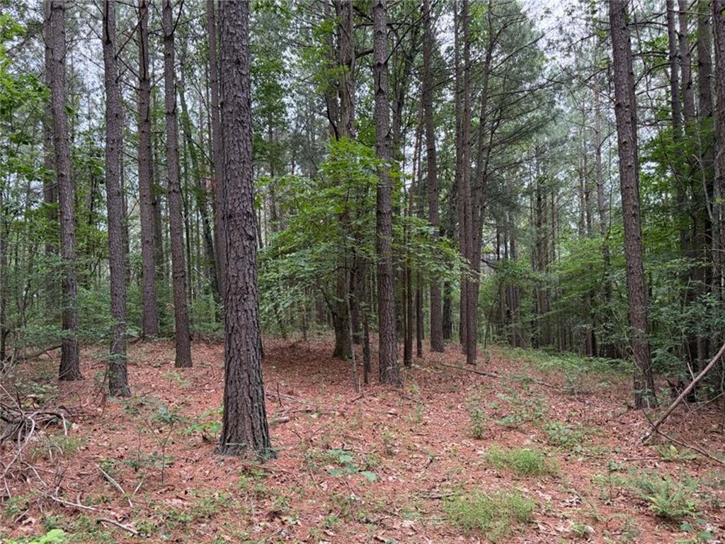Image 33