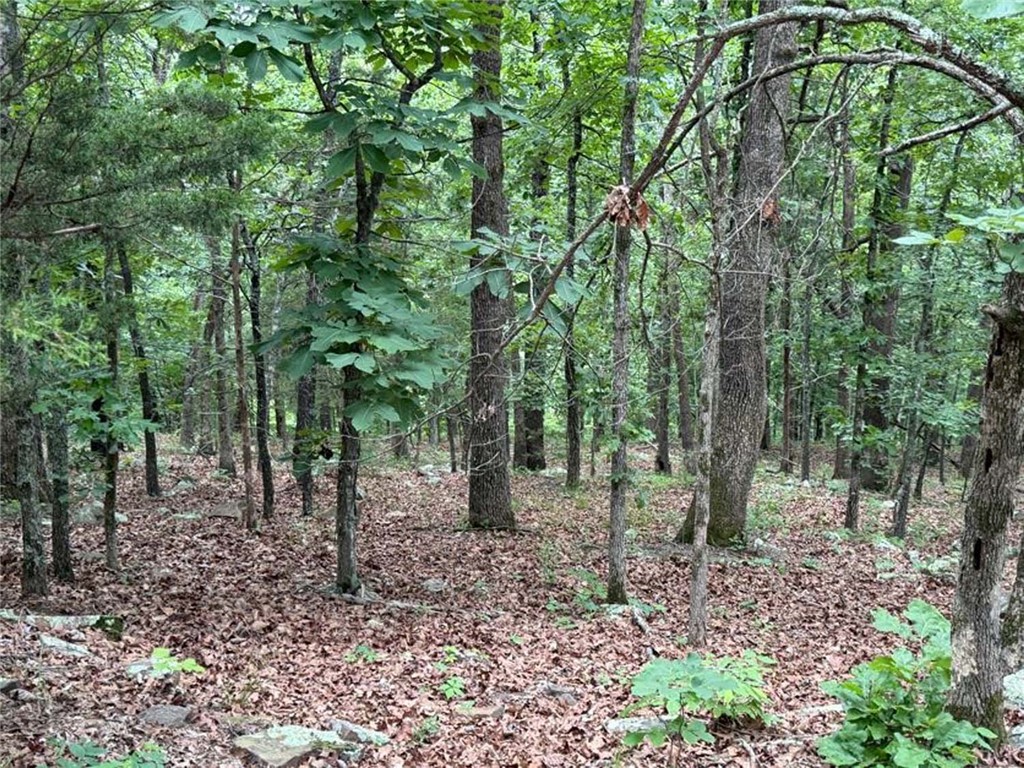 Image 38