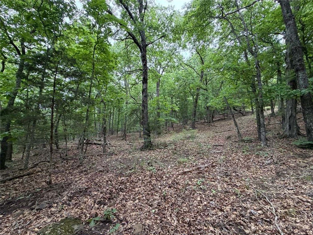 Image 9