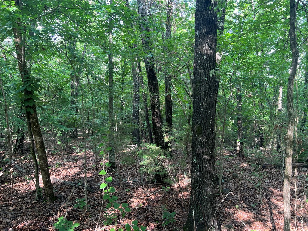 Ozark Haven Realty property-listing-thumbnail