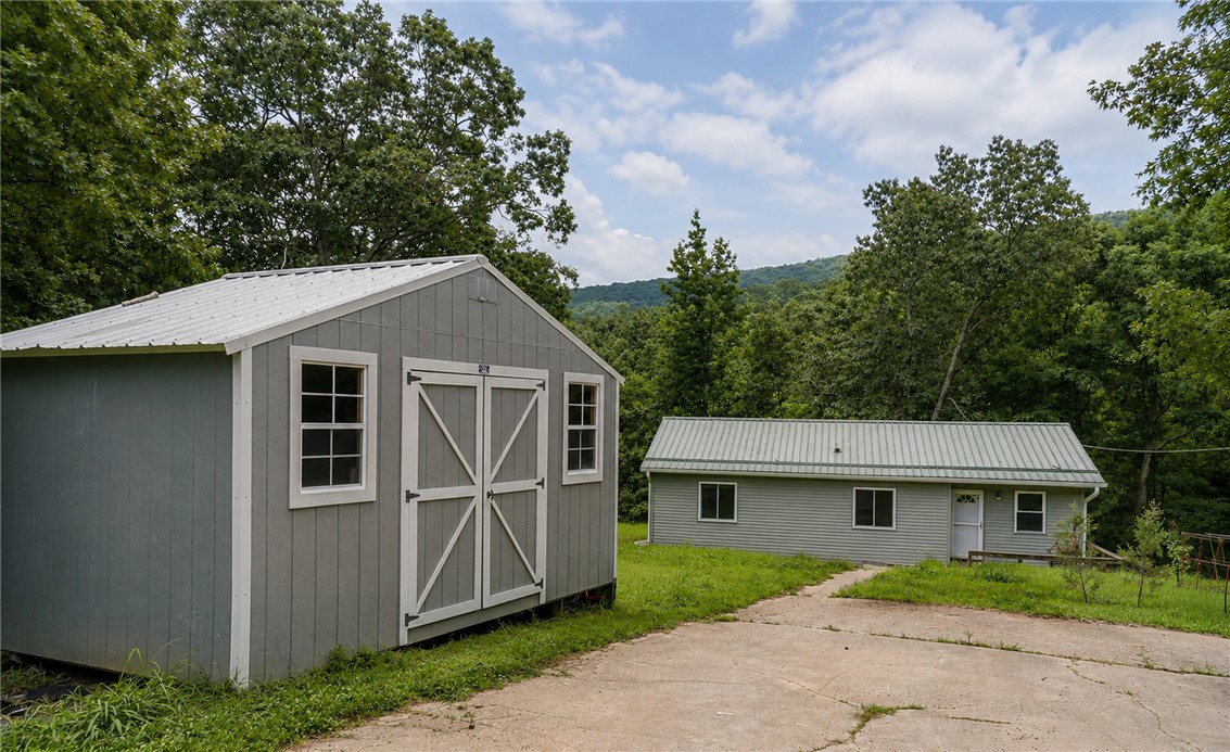 Image 19