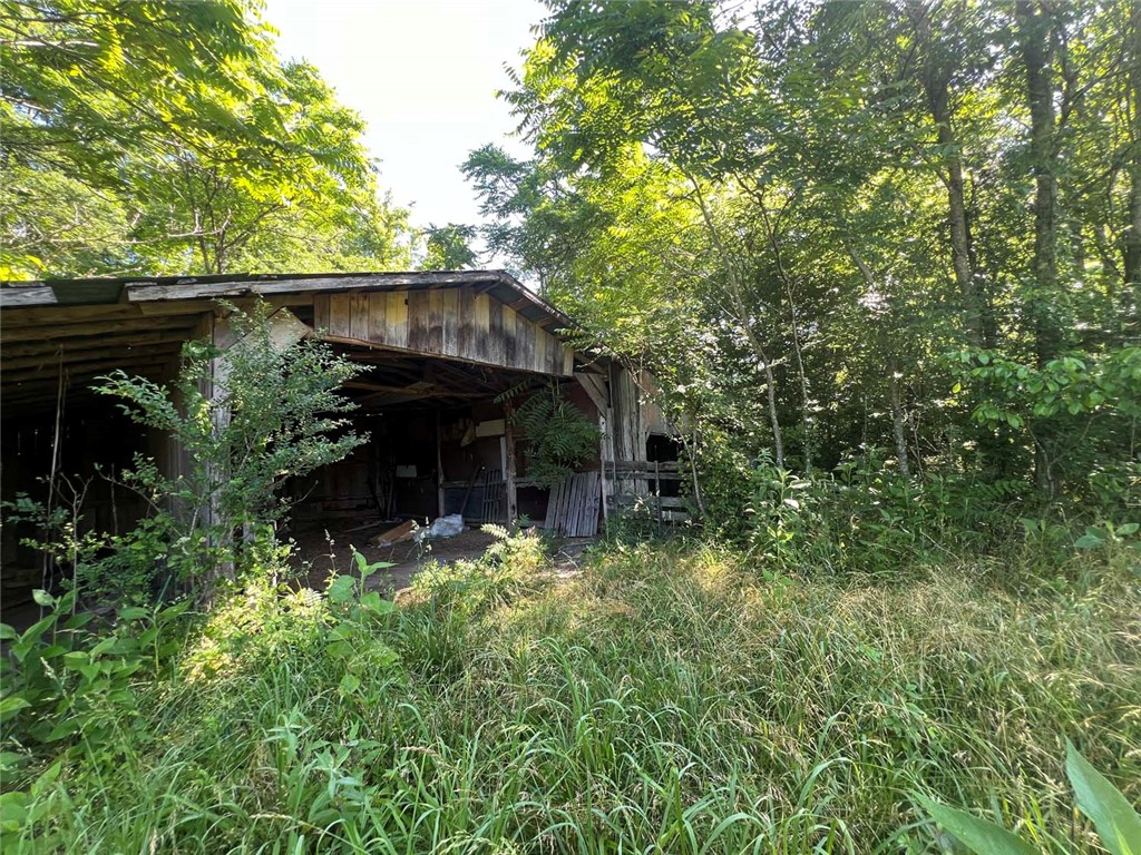 Image 23