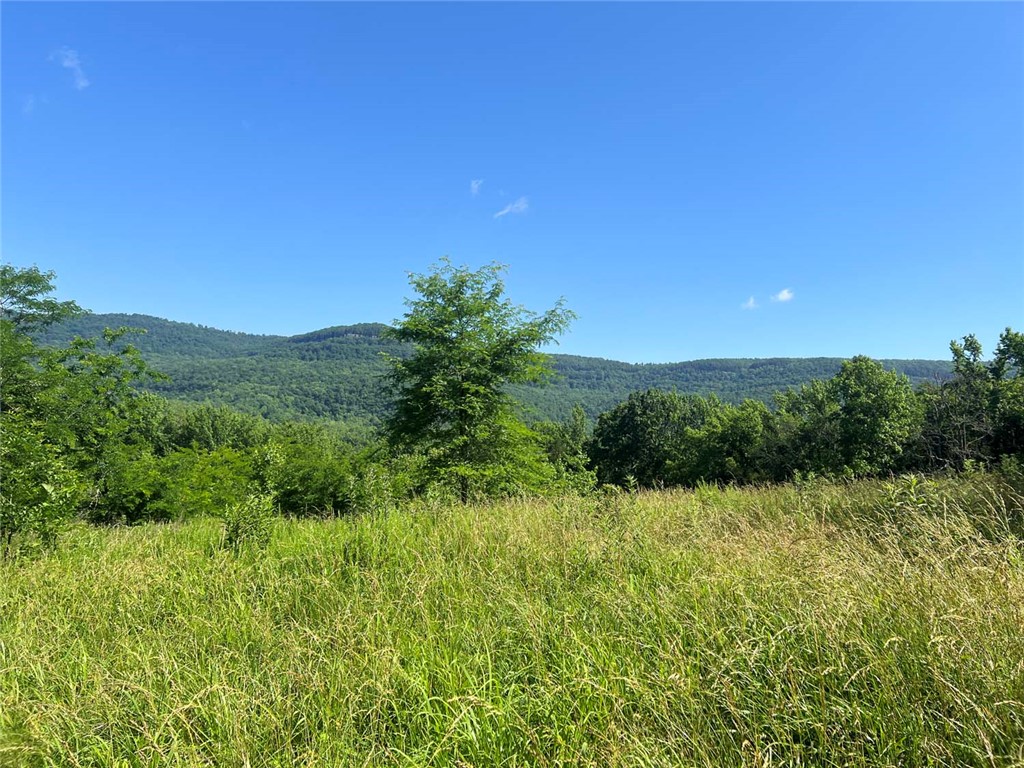 Image 26