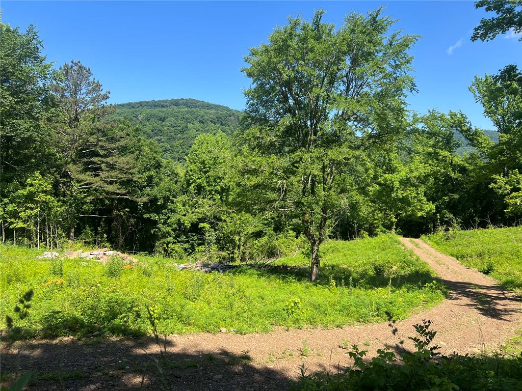 Image 30