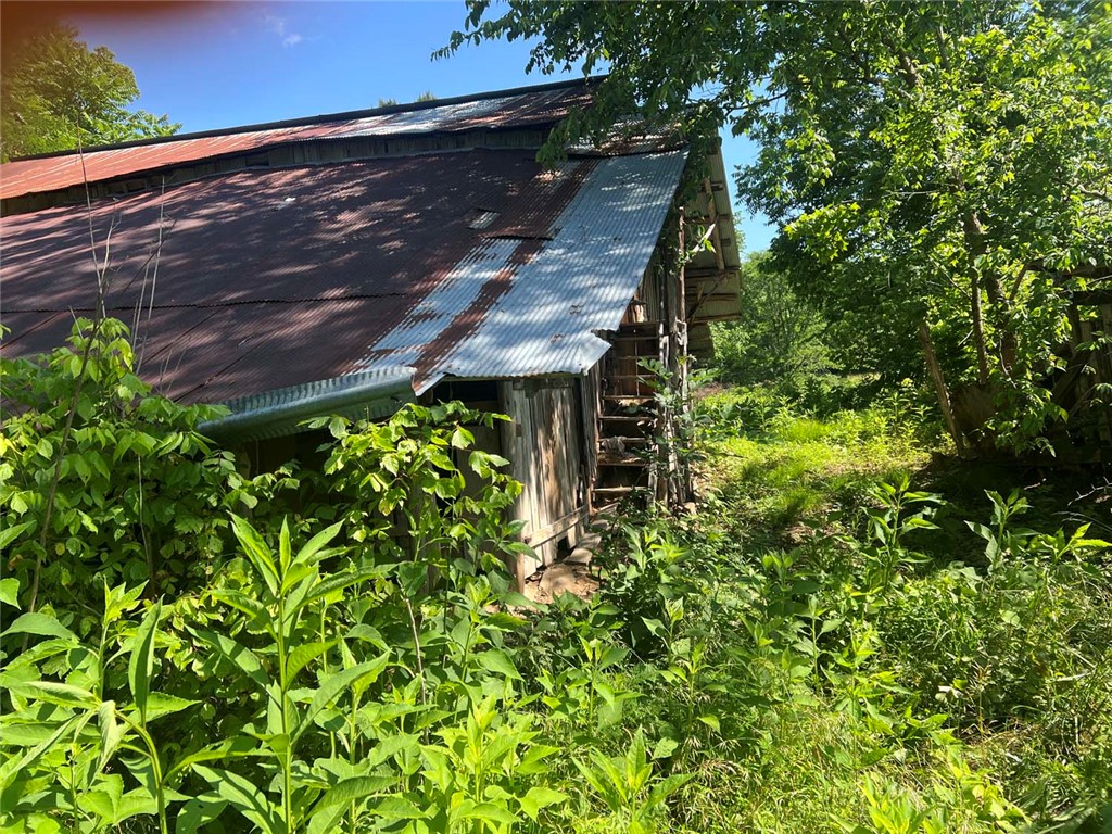 Image 31