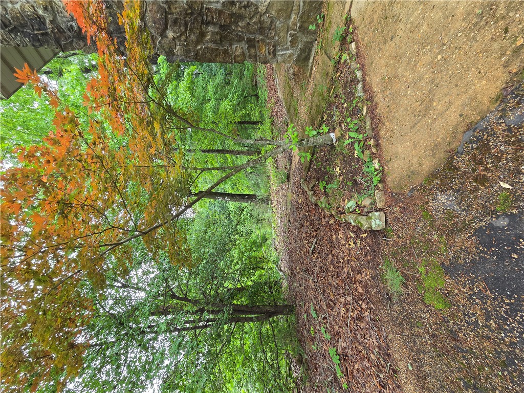 Image 23