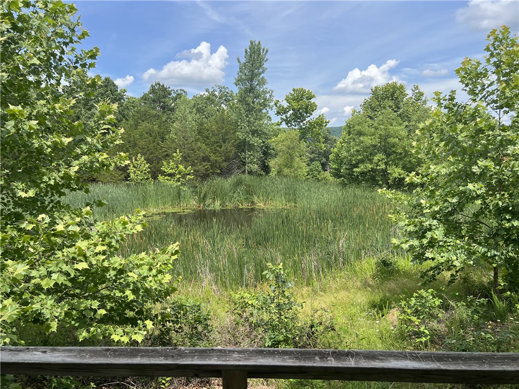 Image 17